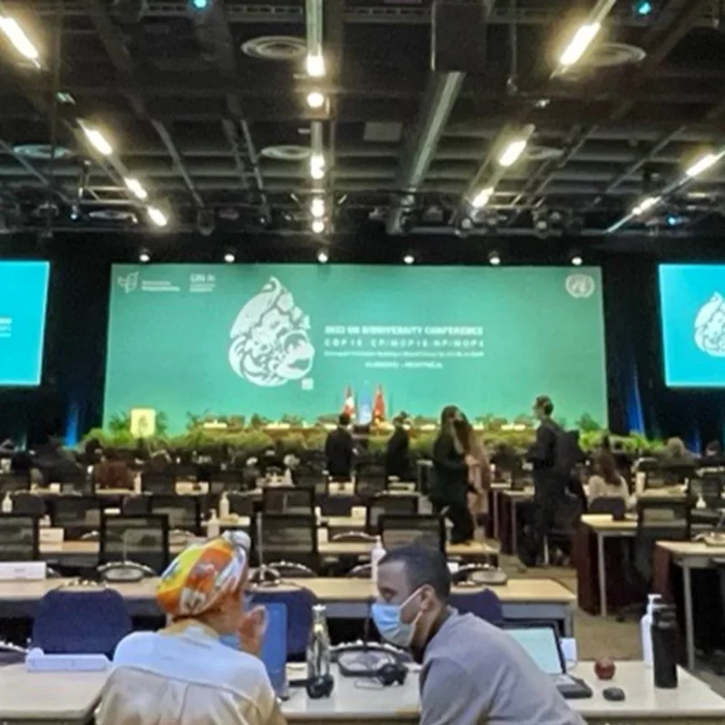 UN COP-15 Biodiversity Plenary Room